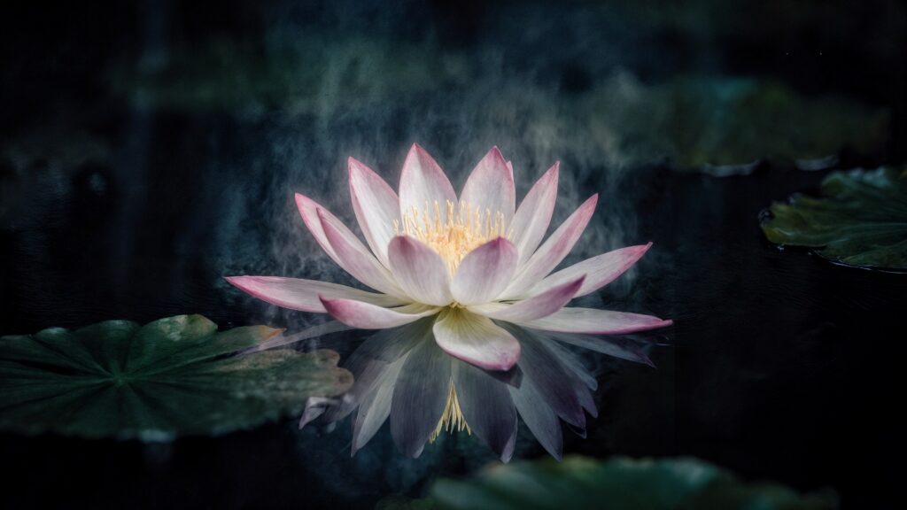 Что значит Венера в 8 доме: общие свойства, для мужчин и для женщин